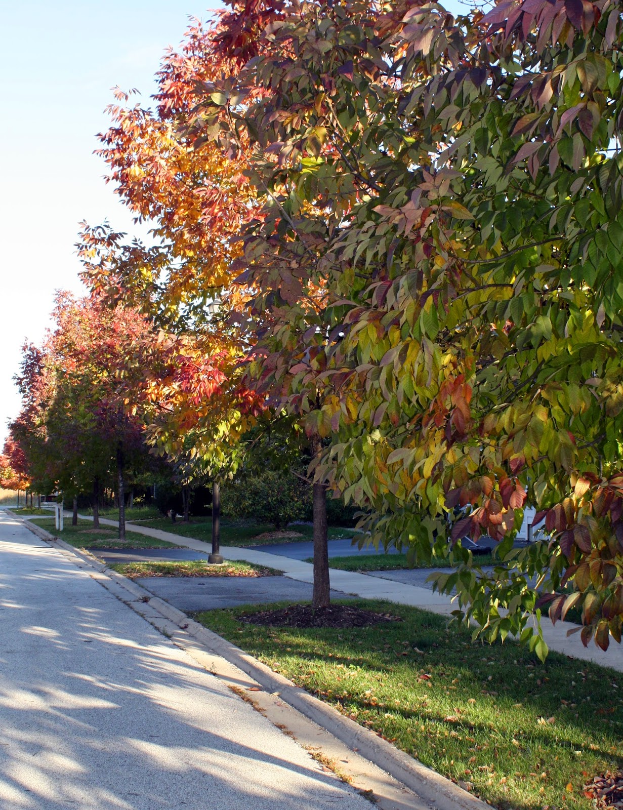 Friday Favorites – October 2014