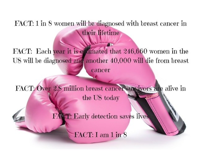 breast cancer journey