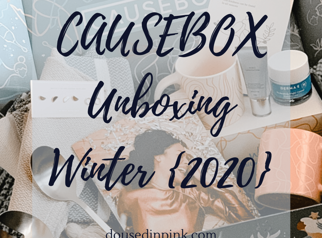 causebox winter