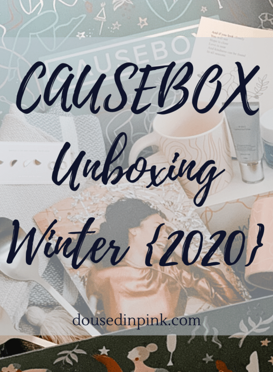 causebox winter