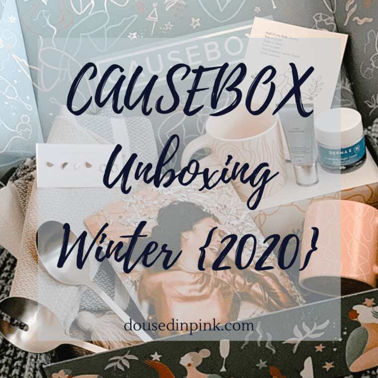 causebox winter