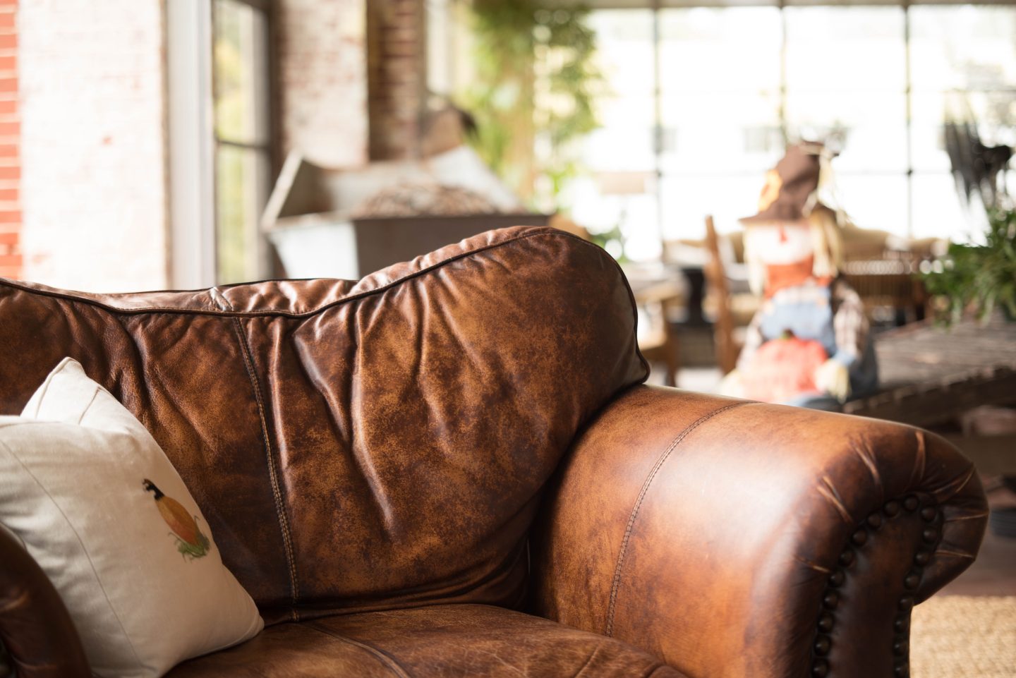cozy couch