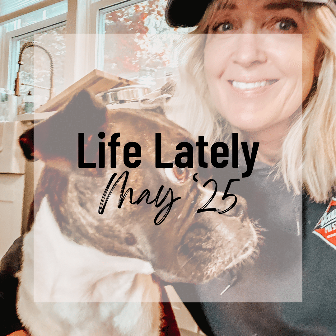 Life Lately May ’25