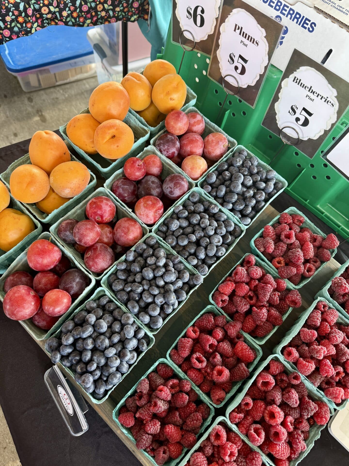 south haven farmers market