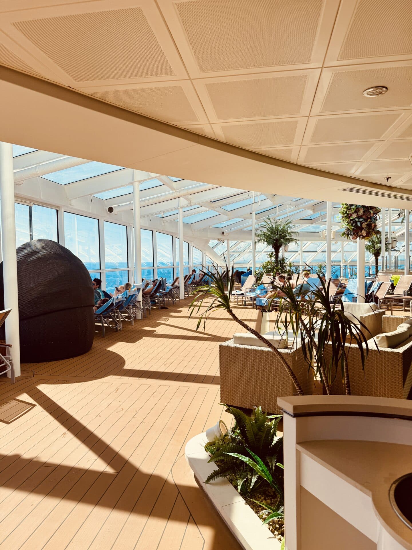 quantum of the sea solarium
